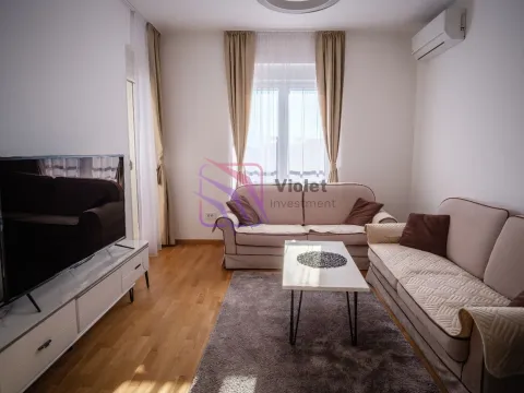 Izdavanje, jednosoban stan, 45m², Stari Aerodrom, Podgorica - image 2