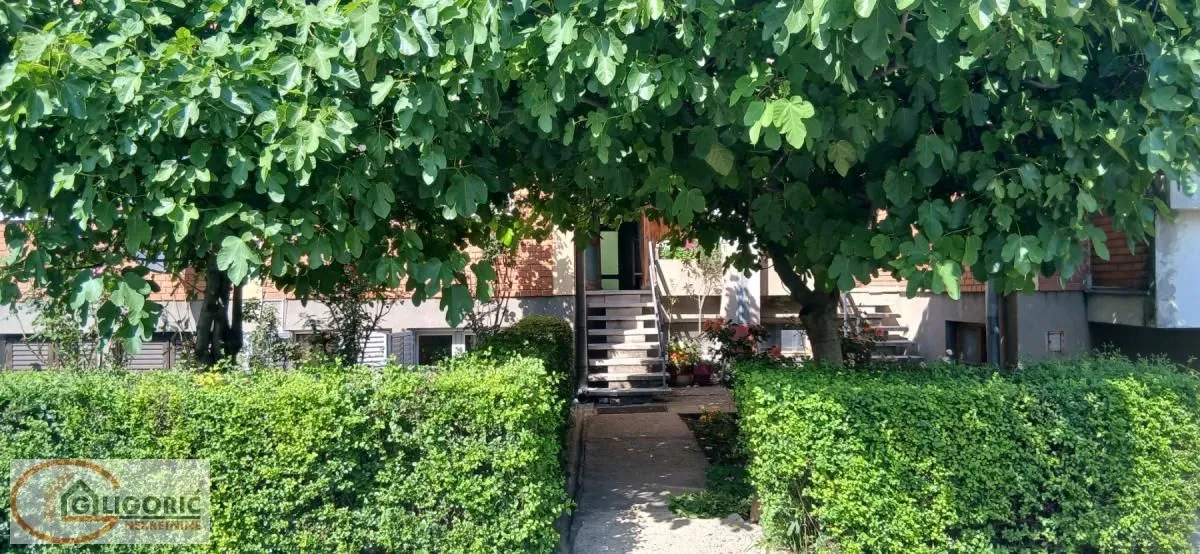 Prodaja, jednosoban stan, 27m², Zemun Sve Podlokacije, Beograd