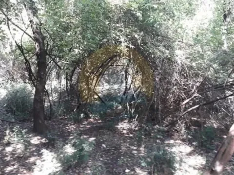 Sale, land lot, 15000m², Perast, Kotor - image 6