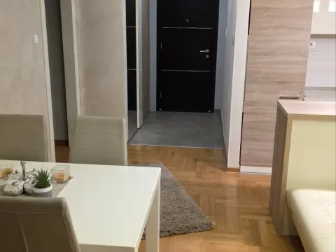 Izdavanje, jednosoban stan, 50m², Ljubović, Podgorica - image 10