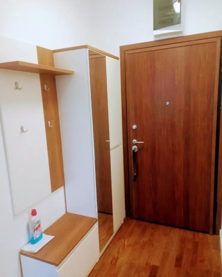 Izdavanje, jednosoban stan, 47m², Stari Aerodrom, Podgorica