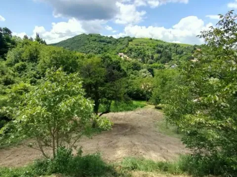 Prodaja, plac, 1500m², Rakovac, Novi Sad Sve Podlokacije - image 14