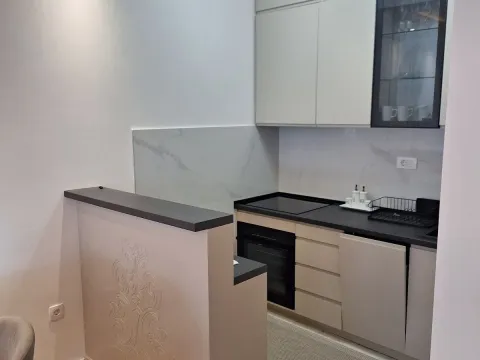 Rent, one bedroom apartment, 49m², Central Point, Podgorica - image 2