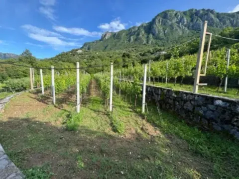 Sale, office space, 200m², Crmnica, Bar - image 3