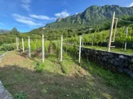 Sale, office space, 200m², Crmnica, Bar - image 3