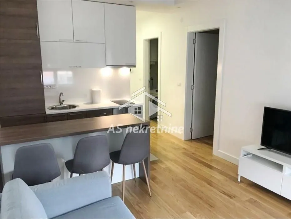 Izdavanje, dvosoban stan, 43m², Južni Bulevar, Vračar Sve Podlokacije