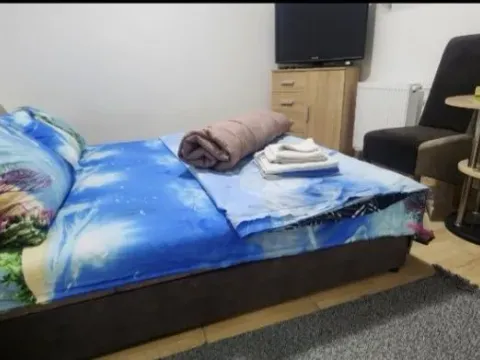 Izdavanje, jednosoban stan, 23m², Petrovaradin, Novi Sad - image 6