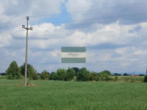 Prodaja, plac, 7500m², Novo Lanište, Jagodina - image 8