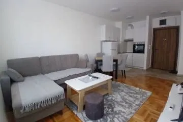 Izdavanje, jednosoban stan, 36m², Cvetanova Ćuprija, Zvezdara Sve Podlokacije - image 5