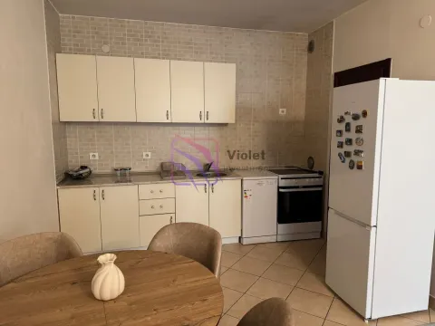 Izdavanje, jednosoban stan, 54m², Zagorič, Podgorica - image 13