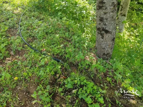 Sale, land lot, 1313m², Drpe, Kolašin - image 5