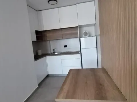 Izdavanje, dvosoban stan, 47m², Bulevar patrijarha Pavla, Novi Sad Sve Podlokacije - image 6