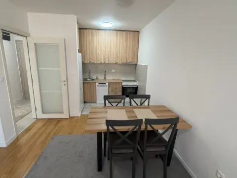 Rent, one bedroom apartment, 49m², Central Point, Podgorica - image 2