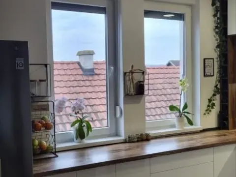 Sale, apartment, 119m², Veternik, Novi Sad Sve Podlokacije - image 29