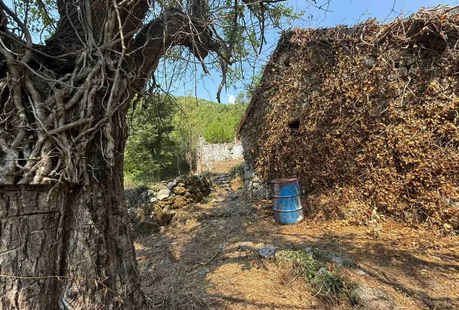 Prodaja, plac, 10001m², Dobrsko Selo, Cetinje