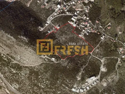 Prodaja, plac, 53833m², Dobre Vode, Bar - image 17