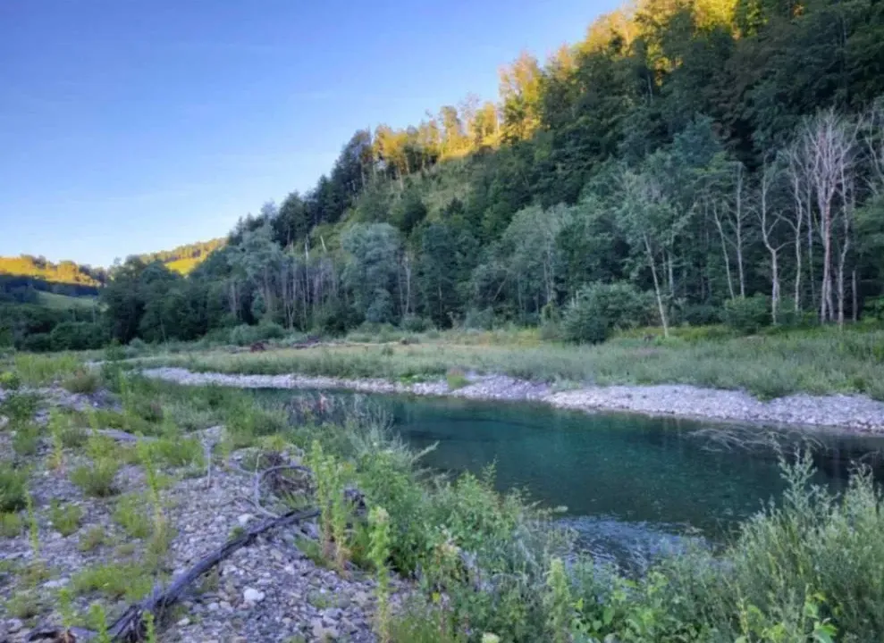 Sale, land lot, 1660m², Jabuka, Kolašin