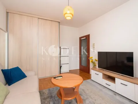 Rent, studio apartment, 28m², Zabjelo, Podgorica - image 4