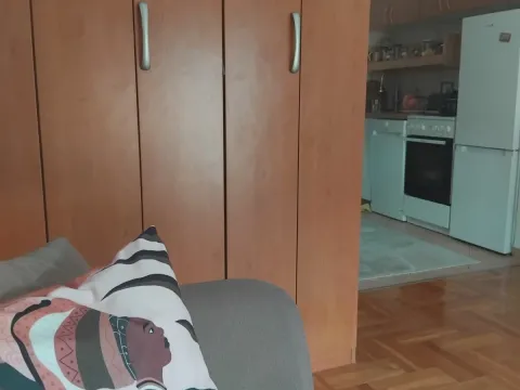 Rent, apartment, 25m², Stari Aerodrom, Podgorica - image 2