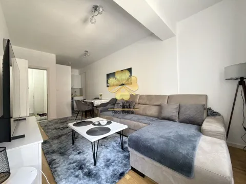 Izdavanje, jednosoban stan, 45m², Stari Aerodrom, Podgorica - image 2