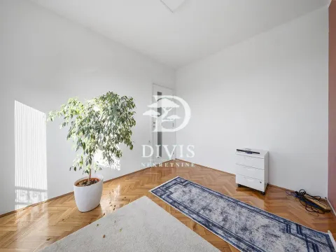Prazna soba sa parketom, belim zidovima i ukrasnom biljkom. - image 6