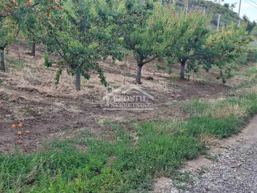 Prodaja, plac, 2900m², Grocka, Beograd