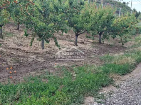 Prodaja, plac, 2900m², Grocka, Beograd - image 10
