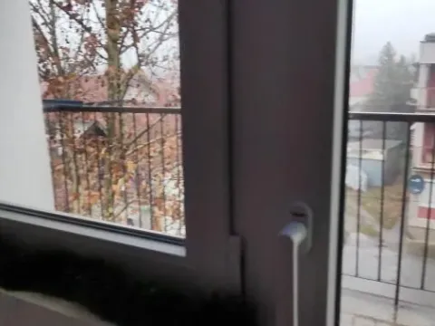 Sale, one bedroom apartment, 42m², Despotovac, Srbija - image 3