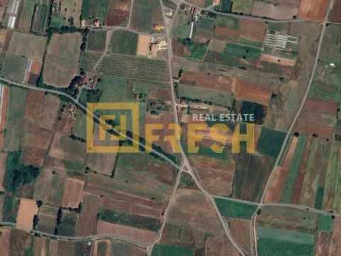 Sale, land lot, 4641m², Zeta, Podgorica