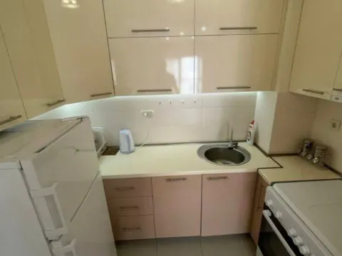 Izdavanje, jednosoban stan, 45m², Zabjelo, Podgorica - image 1