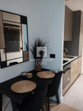 Izdavanje, jednosoban stan, 28m², Savski Venac, Beograd - image 8