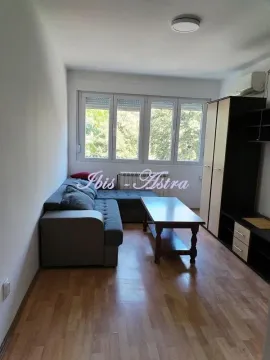 Rent, one bedroom apartment, 30m², Banovo Brdo, Beograd - image 3
