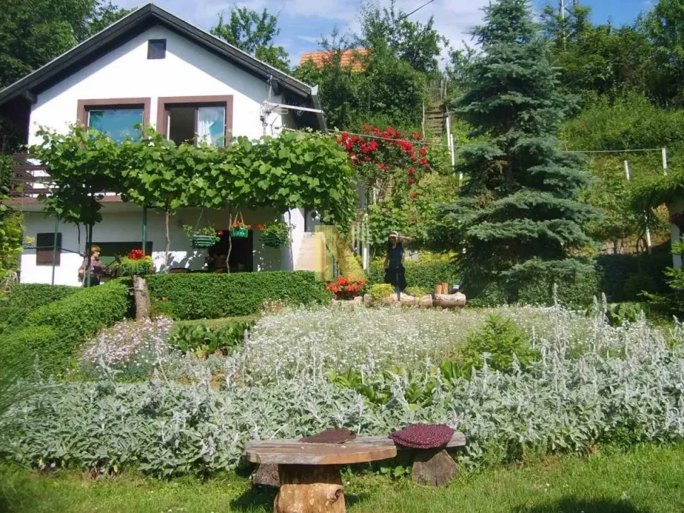Prodaja, kuća, 21m², Sremska Kamenica, Petrovaradin