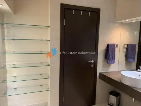 Izdavanje, stan, 160m², Crveni Krst, Beograd - image 19