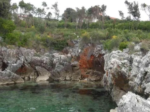 Prodaja, plac, 4000m², Bar, Crna Gora - image 3