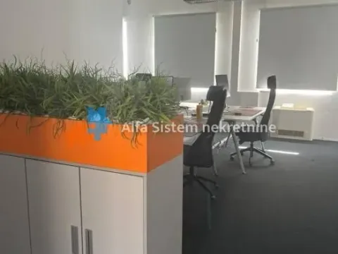 Izdavanje, poslovni prostor, 360m², Stari Grad, Beograd - image 4