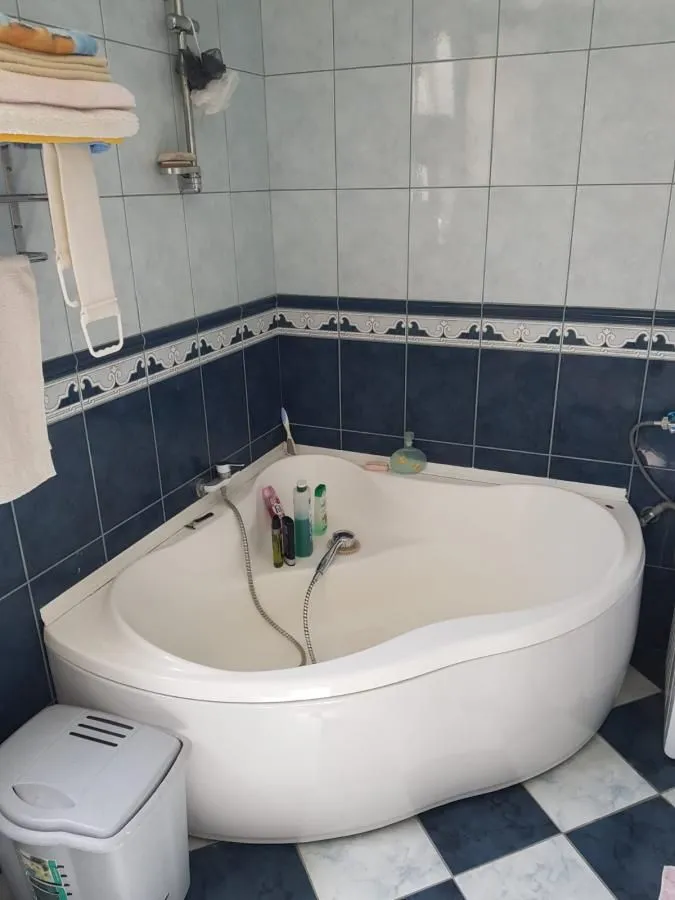 Izdavanje, četvorosoban stan, 160m², Galenika, Beograd