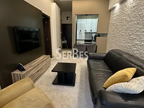 Izdavanje, dvosoban stan, 50m², Bulevar Oslobodjenja, Novi Sad Sve Podlokacije - image 2