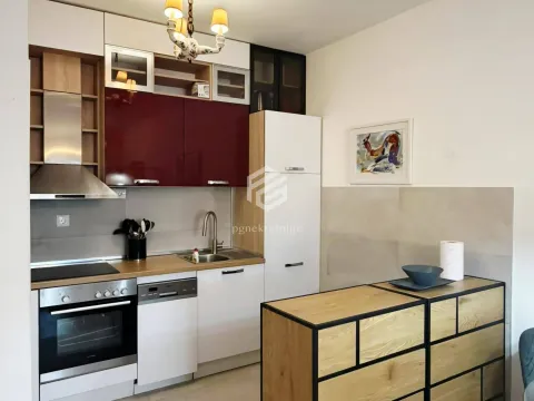 Izdavanje, jednosoban stan, 46m², Zabjelo, Podgorica - image 4