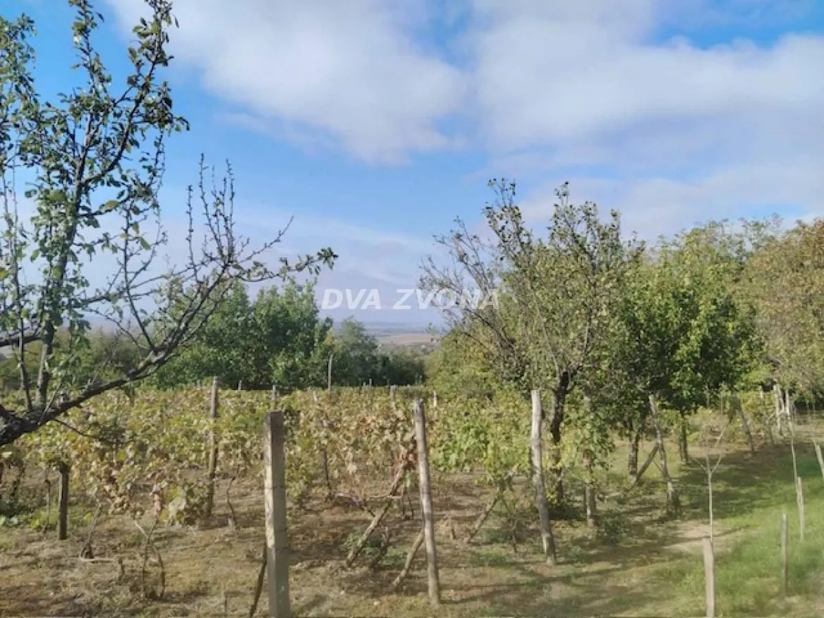 Sale, house, 40m², Novi Slankamen, Inđija