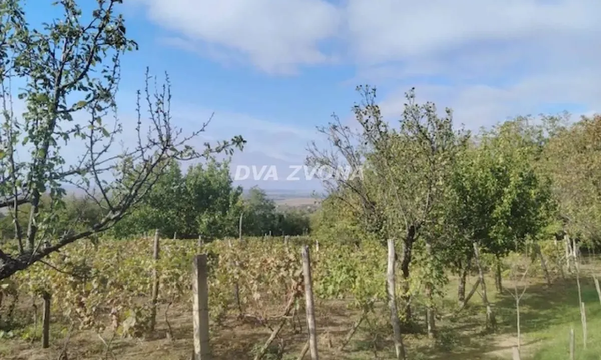 Prodaja, kuća, 40m², Novi Slankamen, Inđija