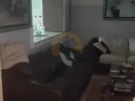 Sale, house, 800m², Momišići, Podgorica - image 9