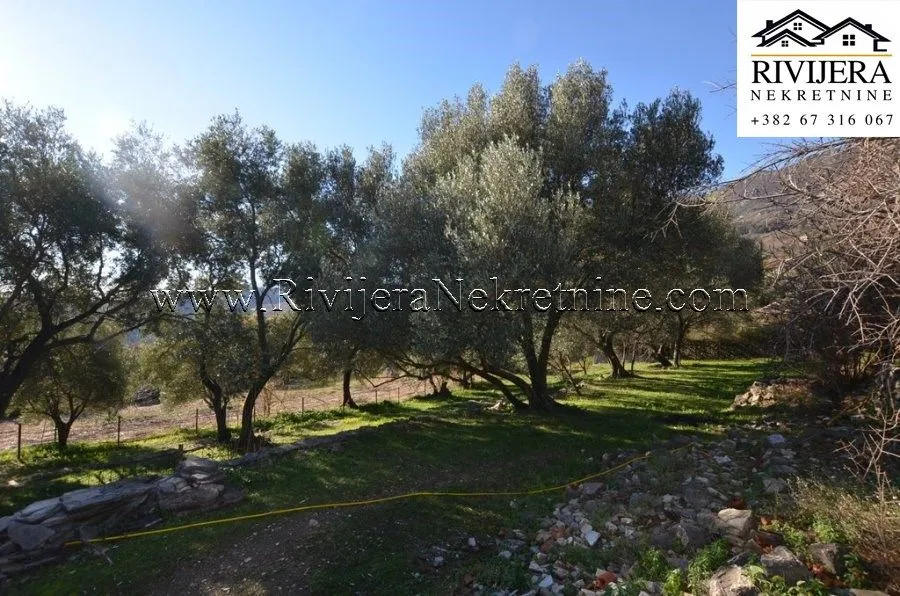 Prodaja, plac, 5345m², Zelenika, Herceg Novi