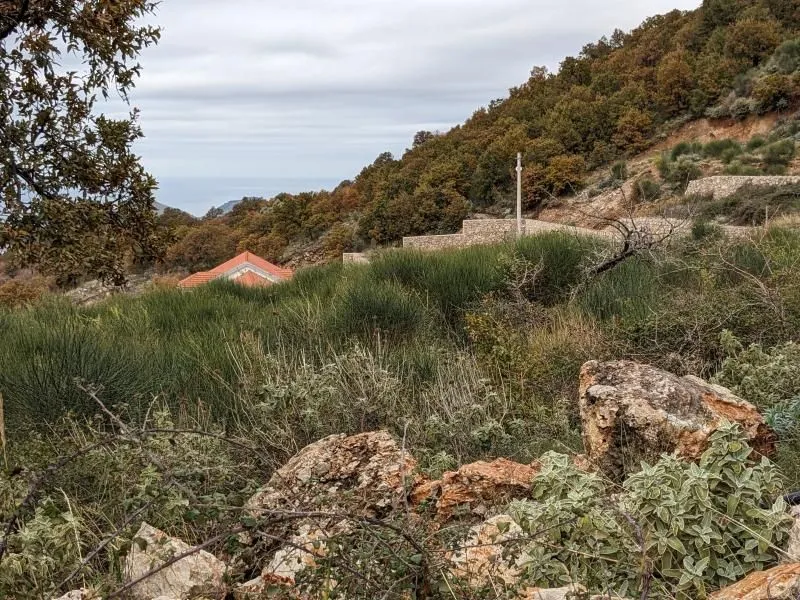 Sale, land lot, 2000m², Bar, Crna Gora