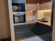 Izdavanje, jednosoban stan, 43m², Central Point, Podgorica - image 1