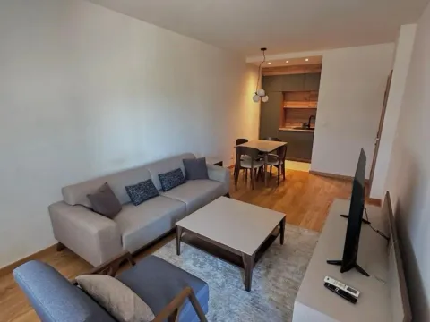 Izdavanje, jednosoban stan, 49m², New City, Podgorica - image 3