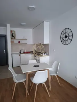 Izdavanje, jednosoban stan, 45m², Petrovaradin, Novi Sad - image 3