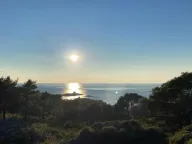 Sale, land lot, 3200m², Radovanići, Herceg Novi - image 4