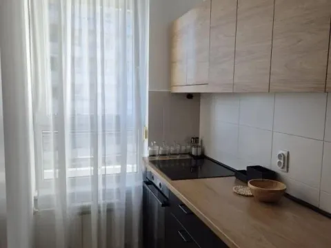 Rent, two bedroom apartment, 42m², Novi Beograd Blok 67, Novi Beograd Sve Podlokacije - image 3