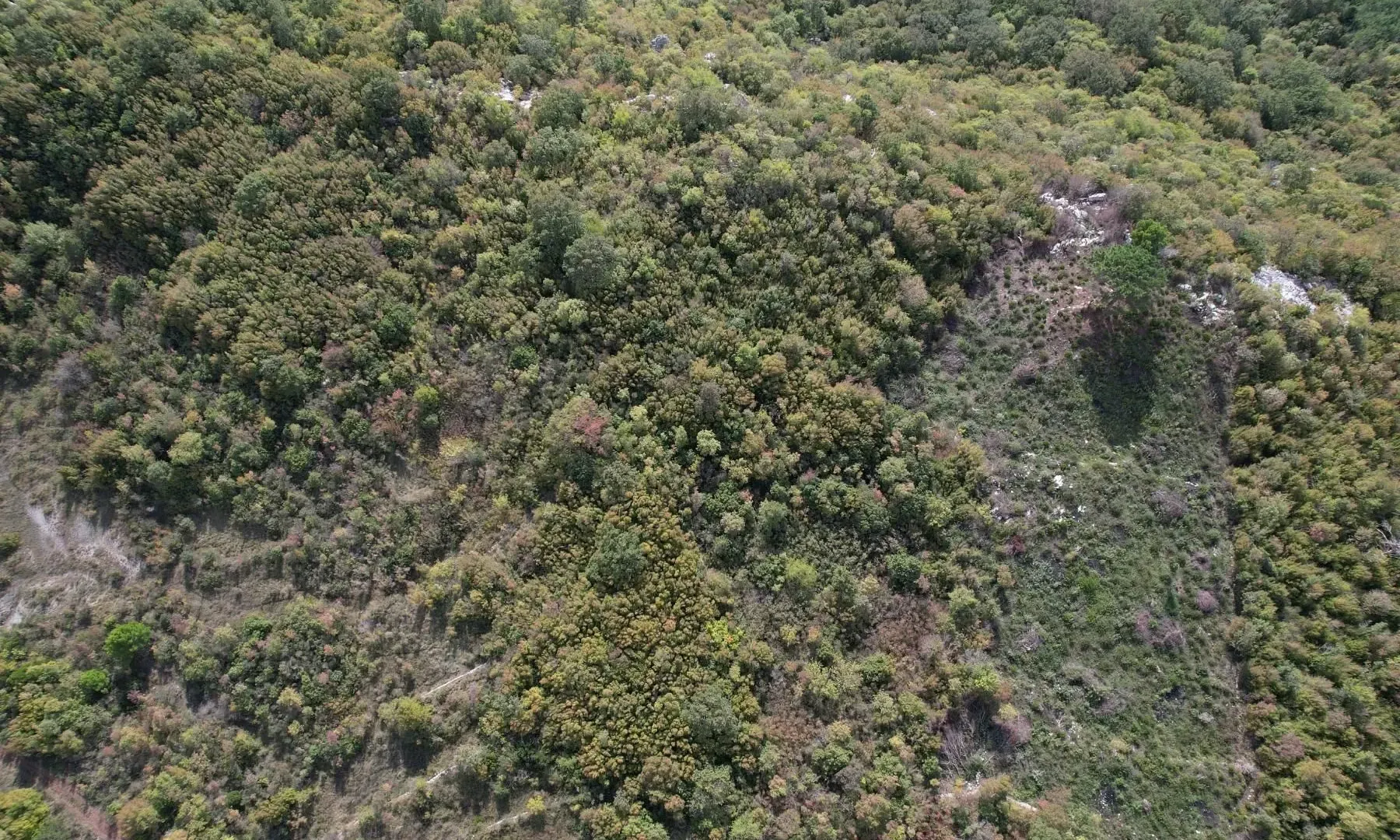 Prodaja, plac, 4000m², Lapčići, Budva
